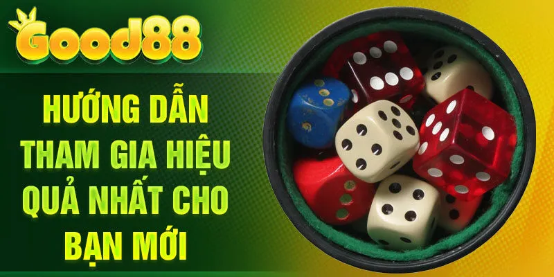 Hướng dẫn tham gia hiệu quả nhất cho bạn mới